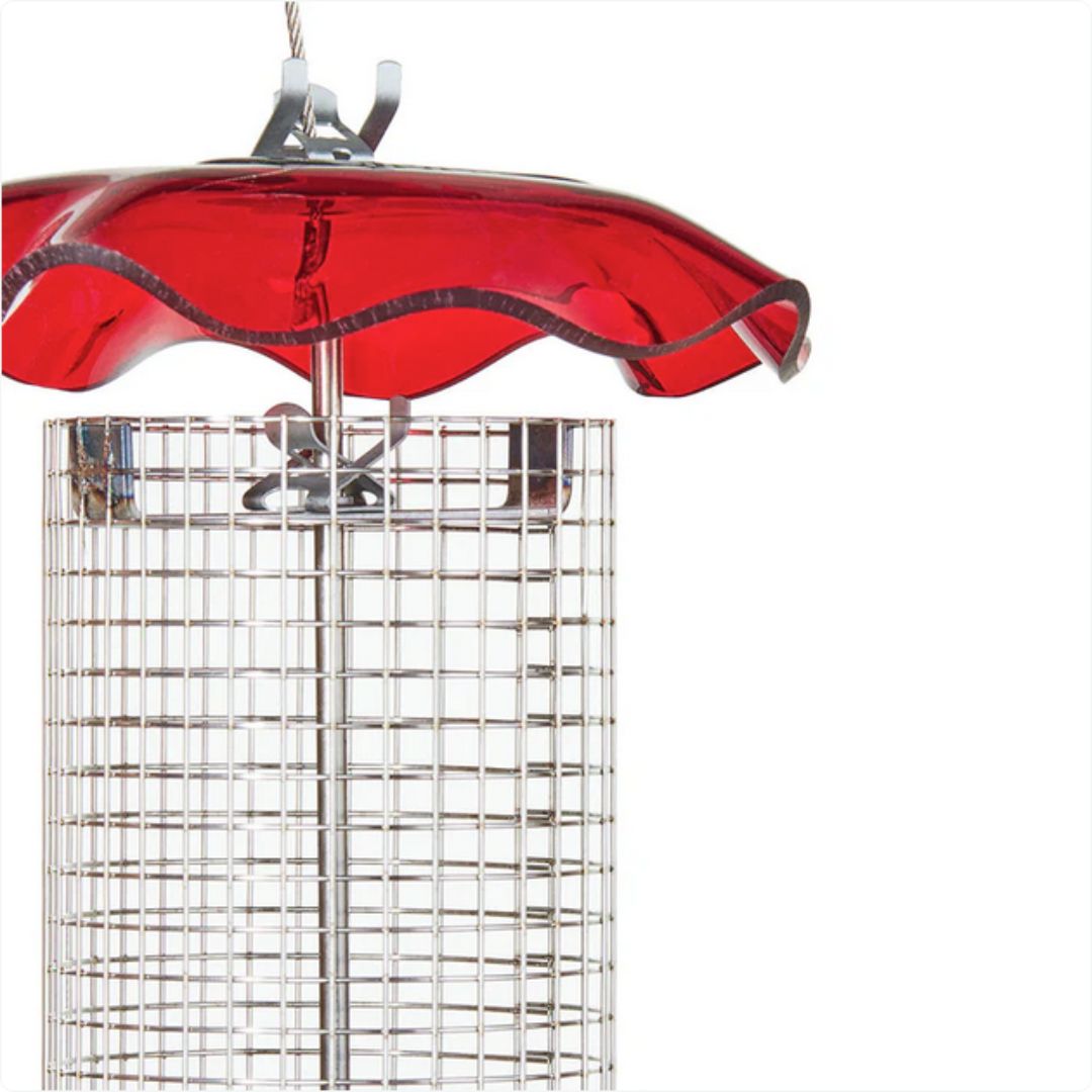 Sunflower Seed Forever Feeder – Birds Choice – Red – Small